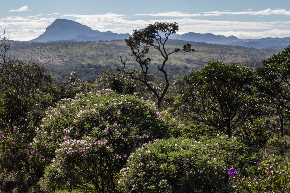 Chapada dos Veadeiros: Brazil's Wild Highlands - GO | Secret World Trip Planner