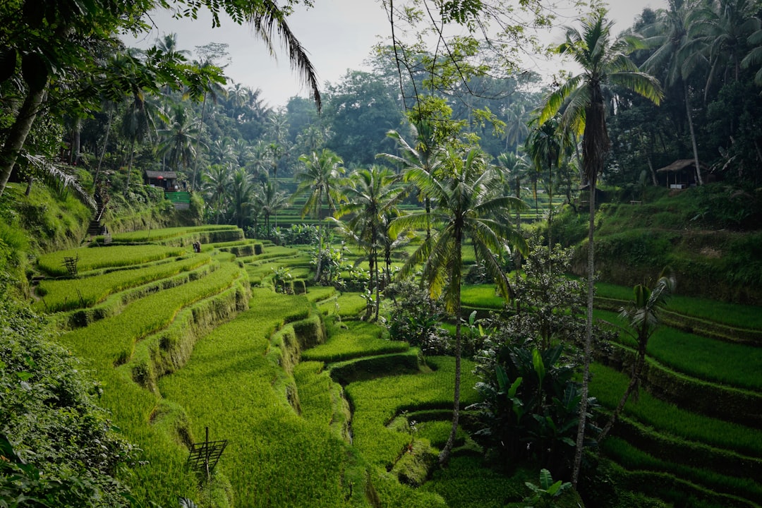 Budget Bali Vacations 2026: Your Practical Guide — Bali
