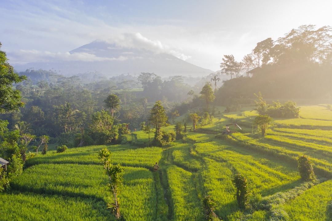 Budget Bali Vacations 2026: Your Practical Guide - Bali | Secret World Trip Planner