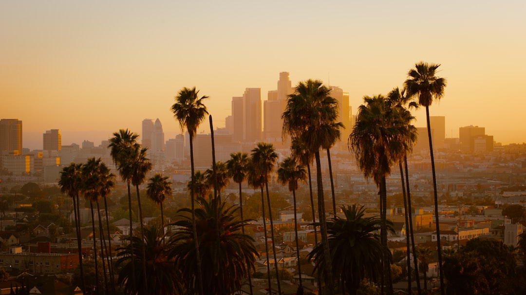 Beste Reise-Apps 2026: Die 5 Highlights in Los Angeles — Los Angeles