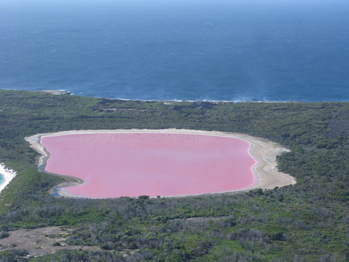 Lake Hillier: Australia's Stunning Pink Lake - Lago Hillier | Secret World Trip Planner