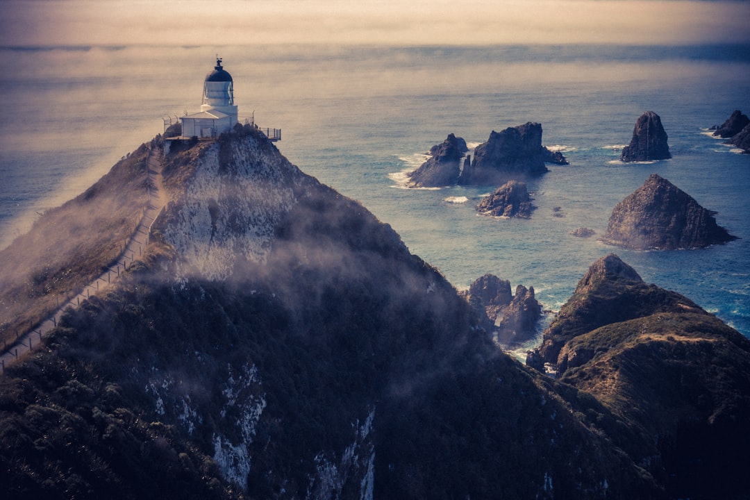 Nugget Point: Der wilde Leuchtturm der Catlins — The Nuggets Road
