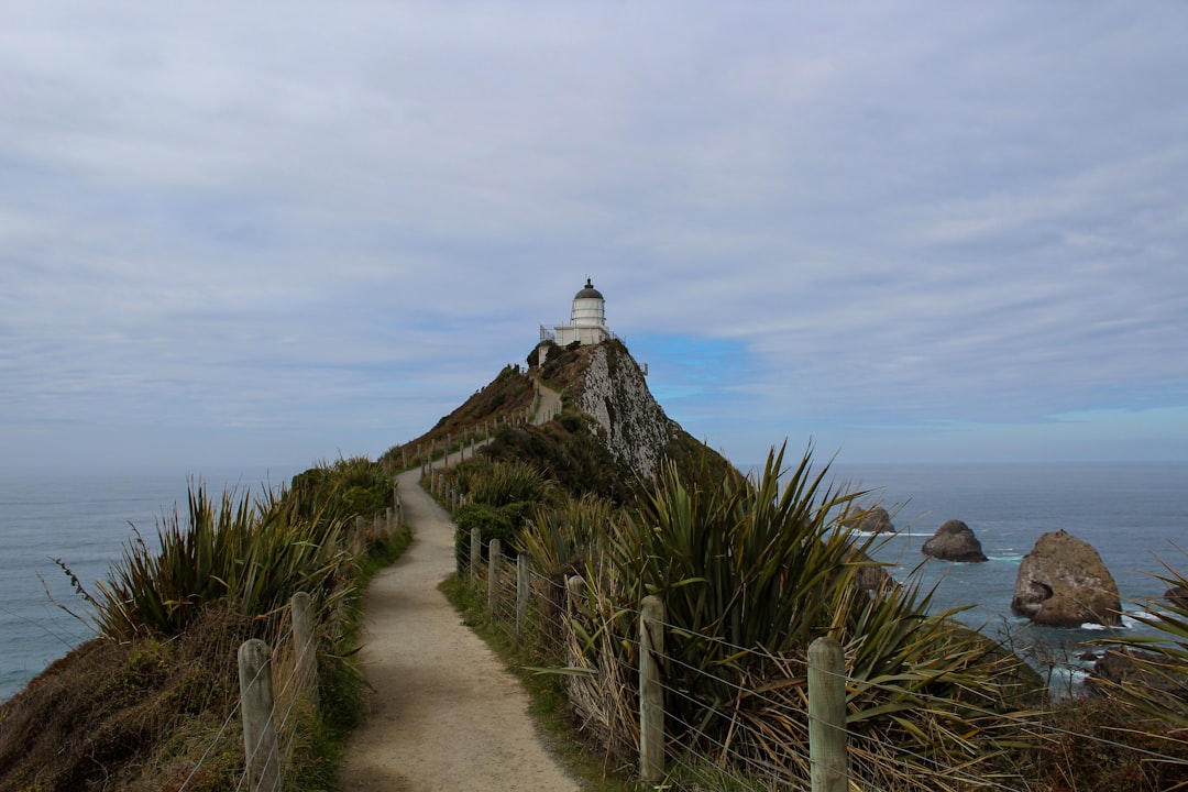 Nugget Point: Der wilde Leuchtturm der Catlins - The Nuggets Road | Secret World Trip Planner