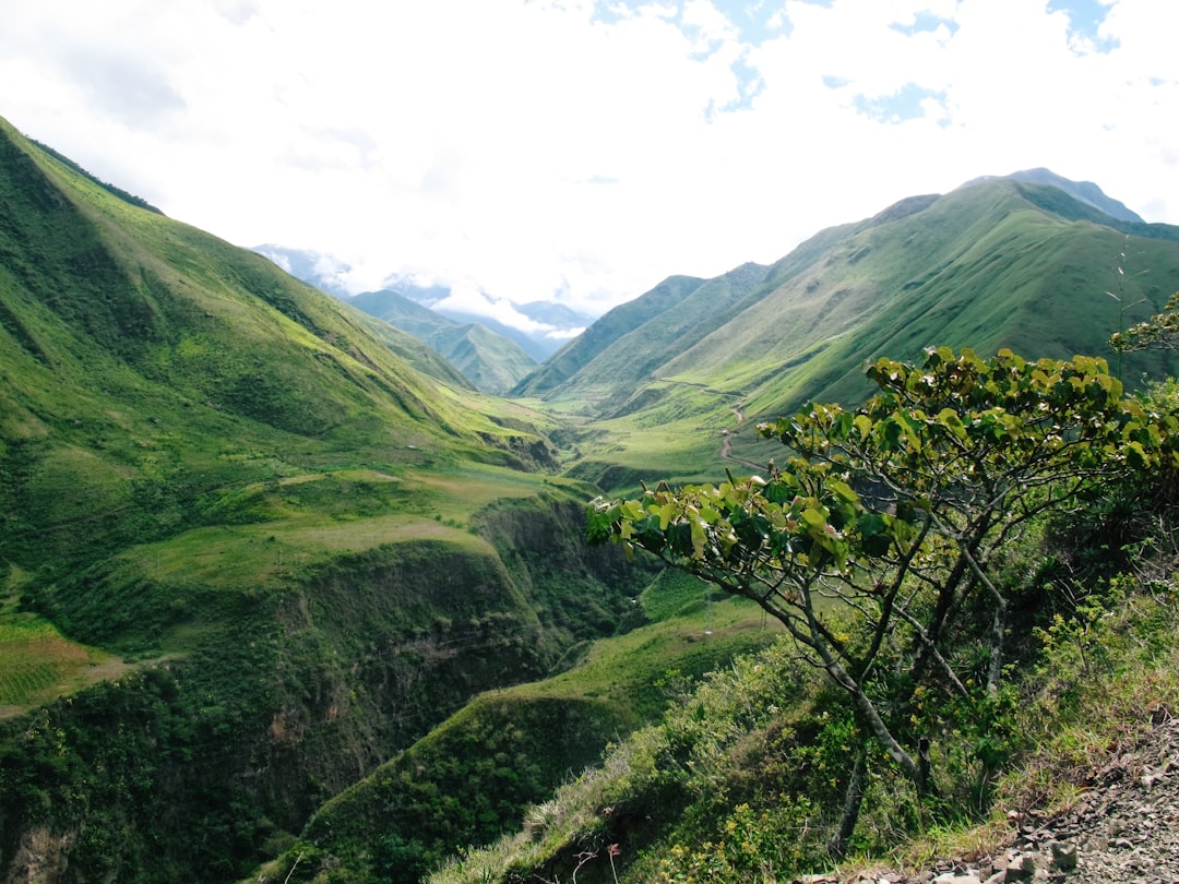 Entdecken Sie Dentado: ein unberührtes Naturparadies in Ecuador