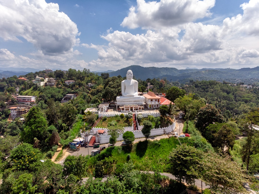 Maligawila Buddha Statue: Ein Meisterwerk der Geschichte Sri Lankas — Okkampitiya