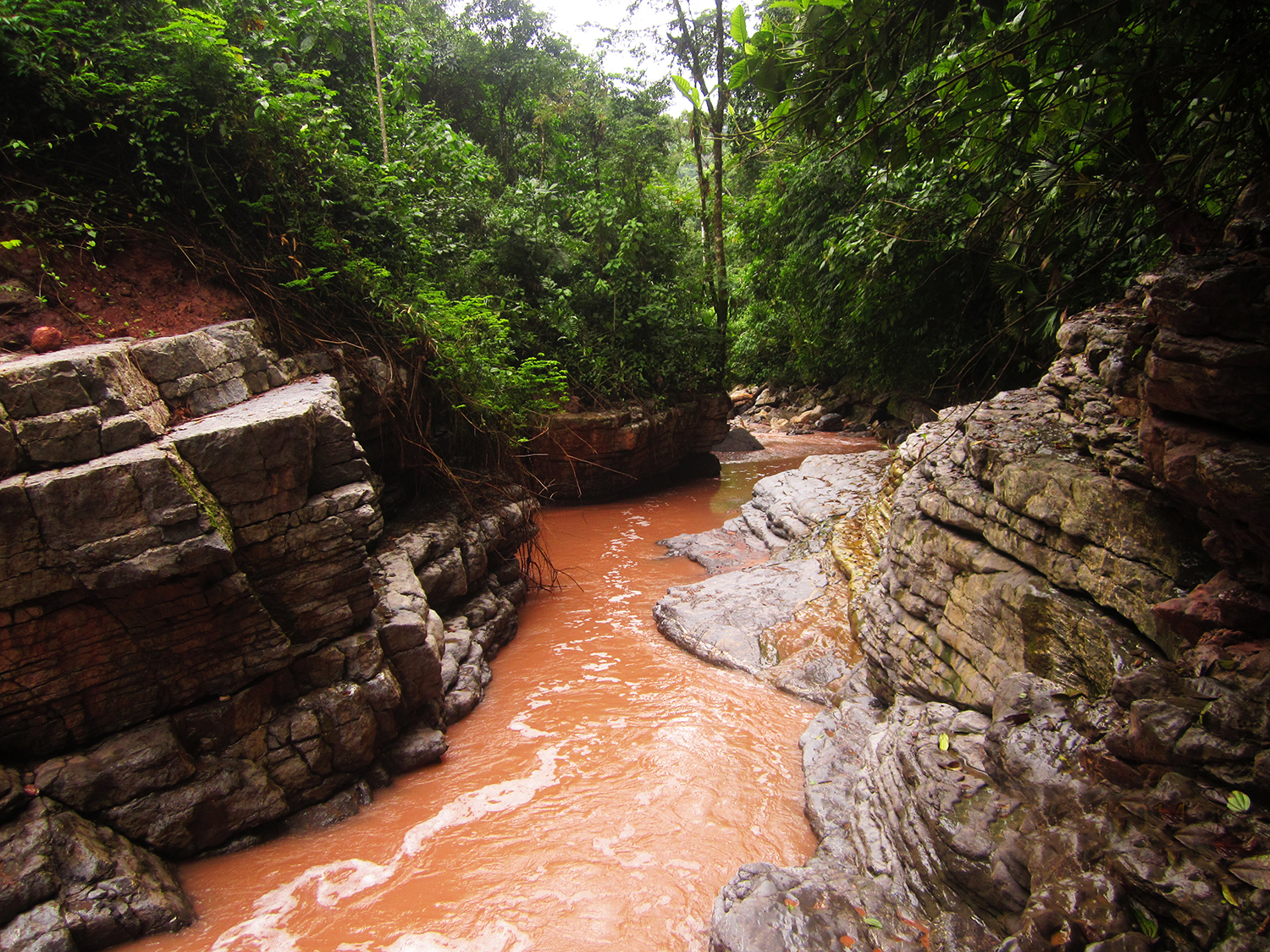 Discover the Natural Beauty of Escalera, Ecuador - Daligshi | Secret World Trip Planner