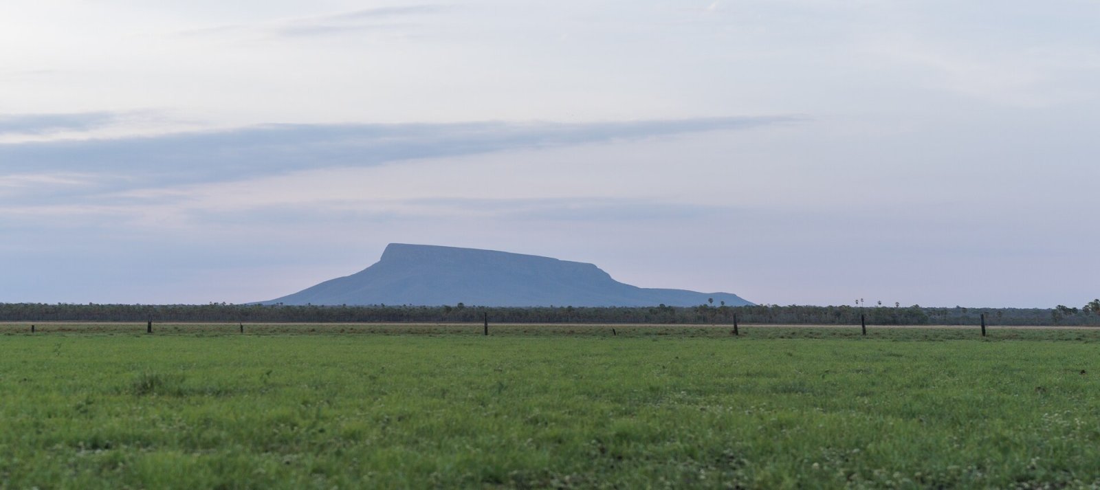 Cerro San Miguel: Ein unberührtes Naturparadies in Bolivien - Calacruz | Secret World Trip Planner