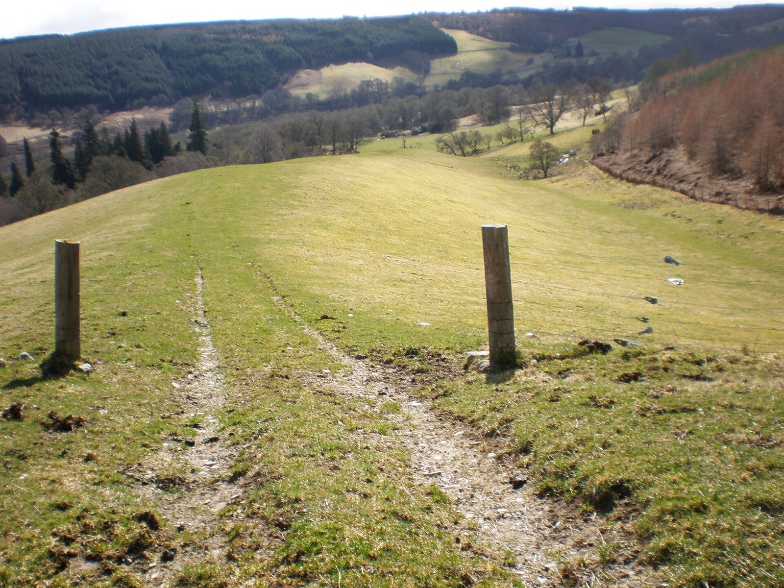 Entdecke Craig Mony: eine Festung in den schottischen Highlands — Drumnadrochit