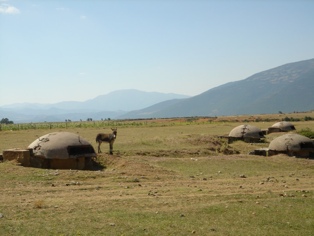 Entdecken Sie den Bunker: Geschichte und Kultur in Albanien - Tiranë | Secret World Trip Planner