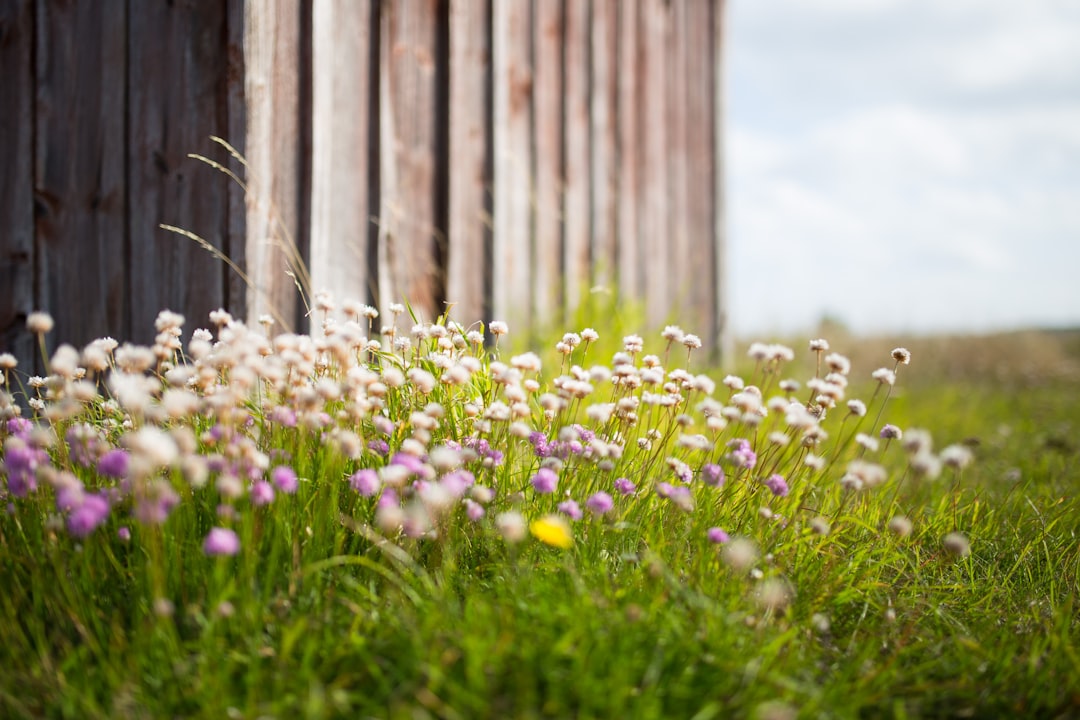 Fårö: wilde Natur und Raukar in Schwedisch-Baltikum - Fårö | Secret World Trip Planner