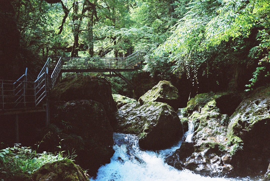 Gola di Vintgar: wilde Natur bei Bled entdecken - Podhom 80 | Secret World Trip Planner