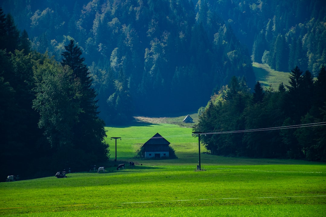 Passo Vršič: Panoramablicke auf die Julischen Alpen - Kranjska Gora- Vršič | Secret World Trip Planner