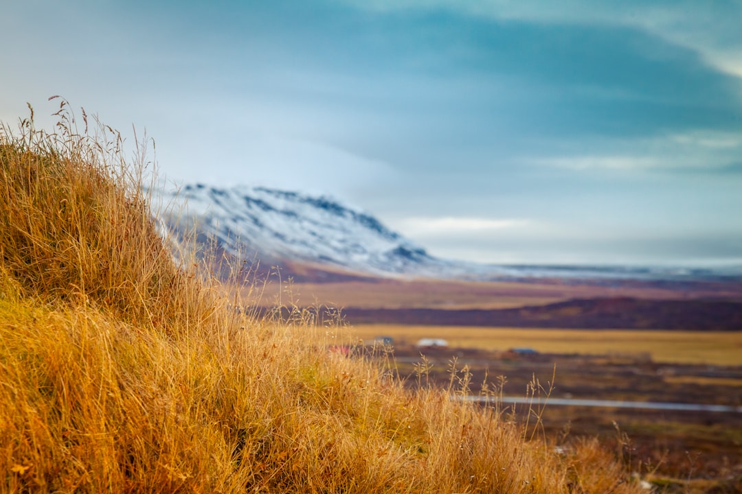 Námafjall Hverir: Der vulkanische Wüstenort Islands - J5RR+HP4 | Secret World Trip Planner