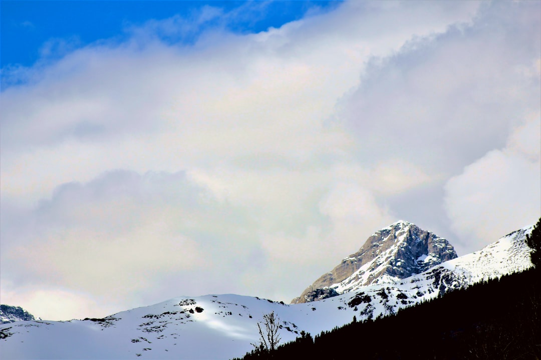 Kananaskis Trail: Alpine Paths Among Bears and Lakes - Kananaskis | Secret World Trip Planner