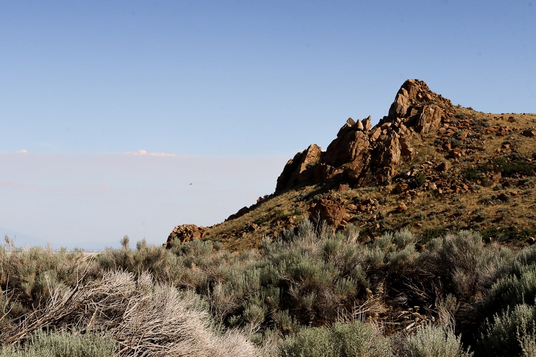 Sentieri di Antelope Island: bison e acque rosa del Great Salt Lake - Syracuse | Secret World Trip Planner