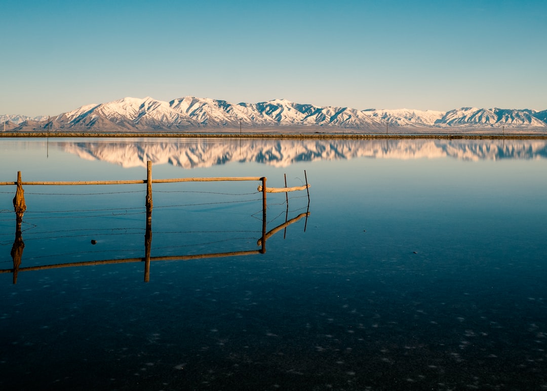 Wanderwege auf Antelope Island: Bisons und rosa Gewässer - Syracuse | Secret World Trip Planner