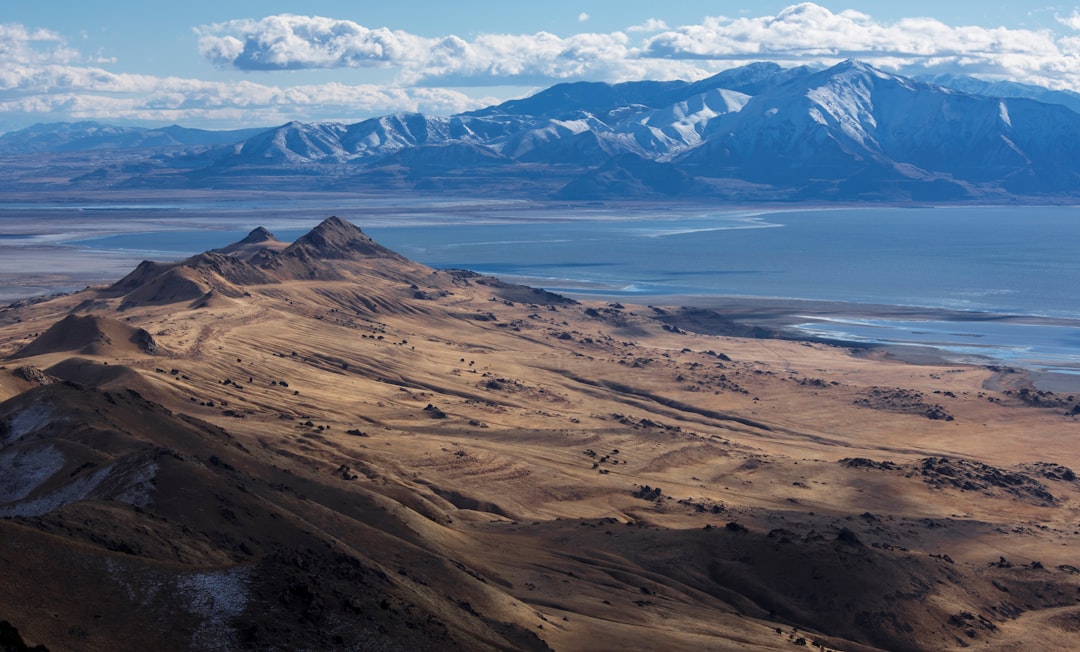 Wanderwege auf Antelope Island: Bisons und rosa Gewässer - Syracuse | Secret World Trip Planner