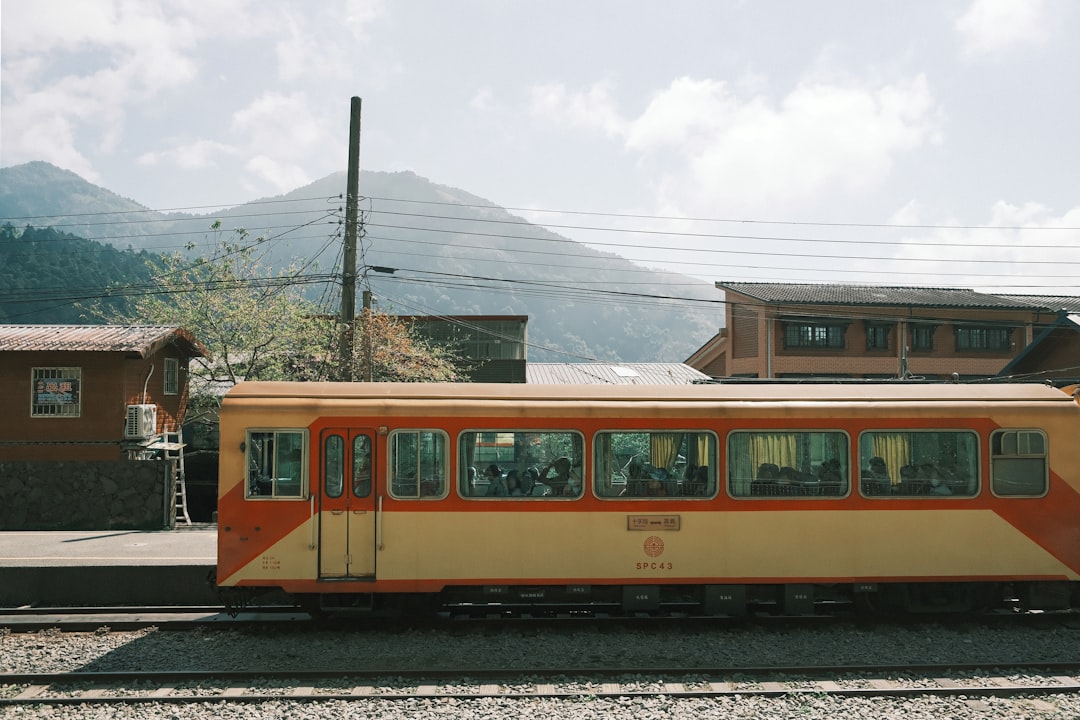 Alishan: Wege zwischen Zypressen und Wolkenmeer - Zhongzheng Village | Secret World Trip Planner