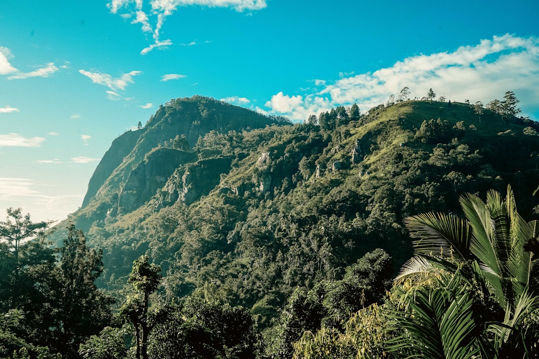 Little Adam's Peak: Sunrise Views Over Ella - Ella | Secret World Trip Planner
