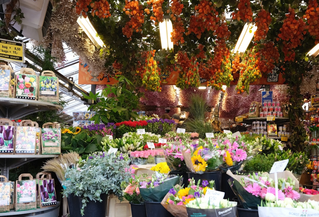Amsterdam Flower Market: The Floating Tulip Market - Singel 630 | Secret World Trip Planner