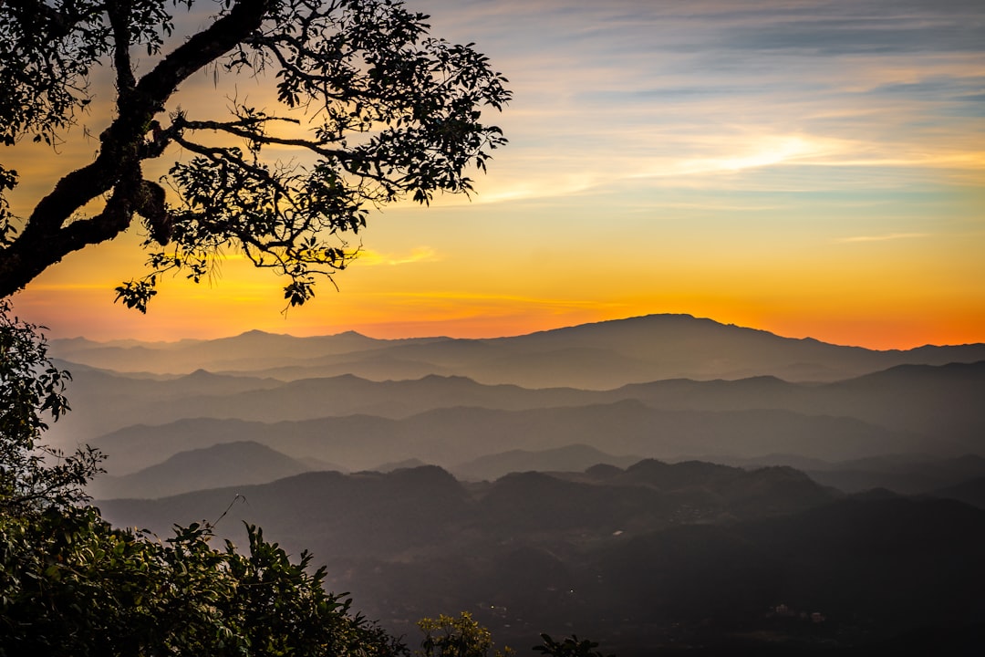Discover Doi Pui: a Natural Gem in Thailand — Mae Rim District