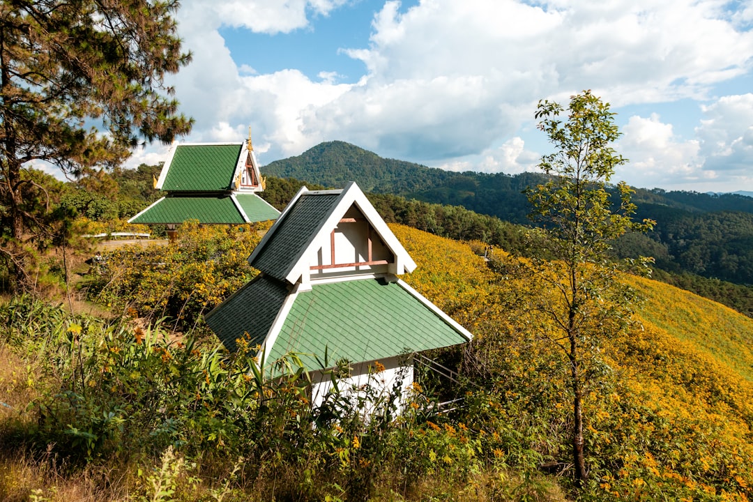 Discover Doi Pui: a Natural Gem in Thailand - Mae Rim District | Secret World Trip Planner