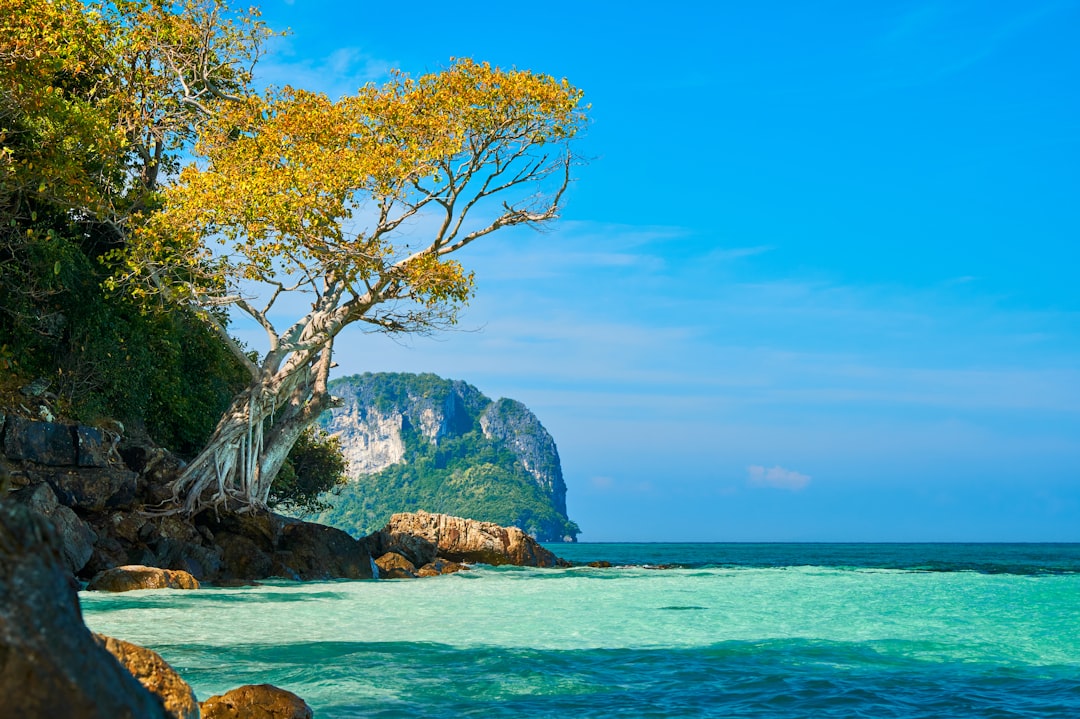 Entdecke Khao Khiao: Ein Naturparadies in Thailand — Pak Phli District