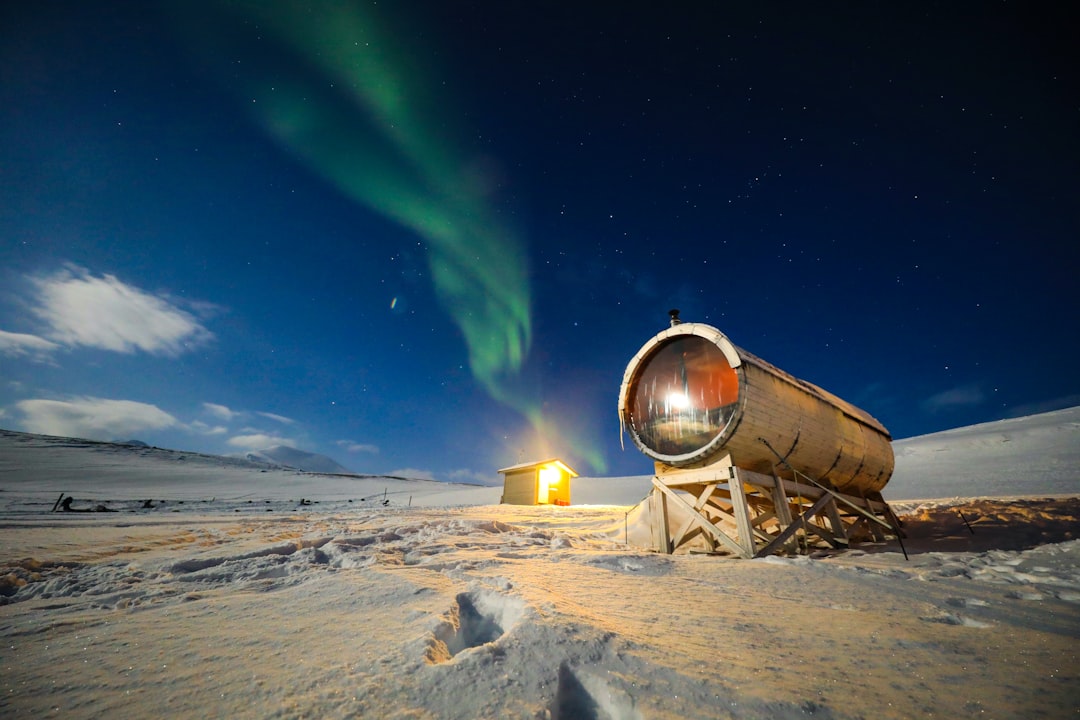 Svalbard Seed Vault: il bunker dei semi nell'Artico — 9170