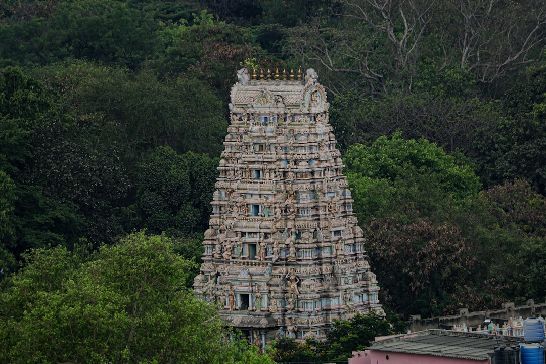Kapaleeshwarar Tempel: Heilige Skulpturen in Chennai - Chennai | Secret World Trip Planner