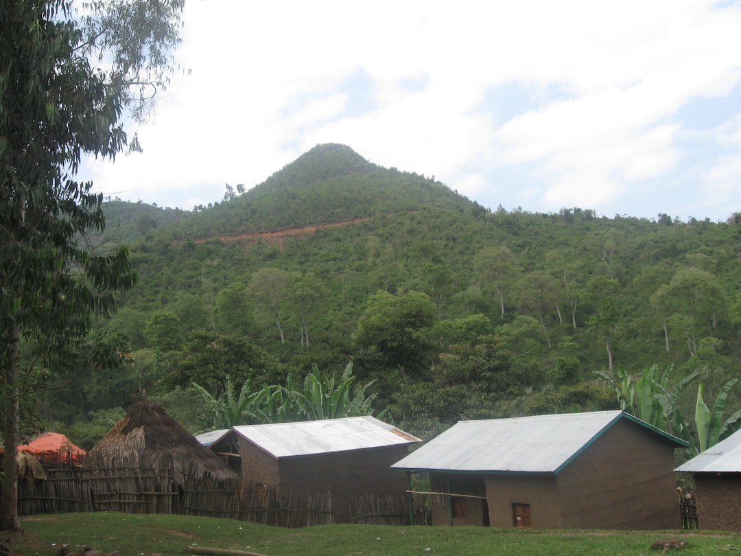 Discovering Amba Ferra: A Nature Haven in Ethiopia - VMF7+F9 T'aleta | Secret World Trip Planner