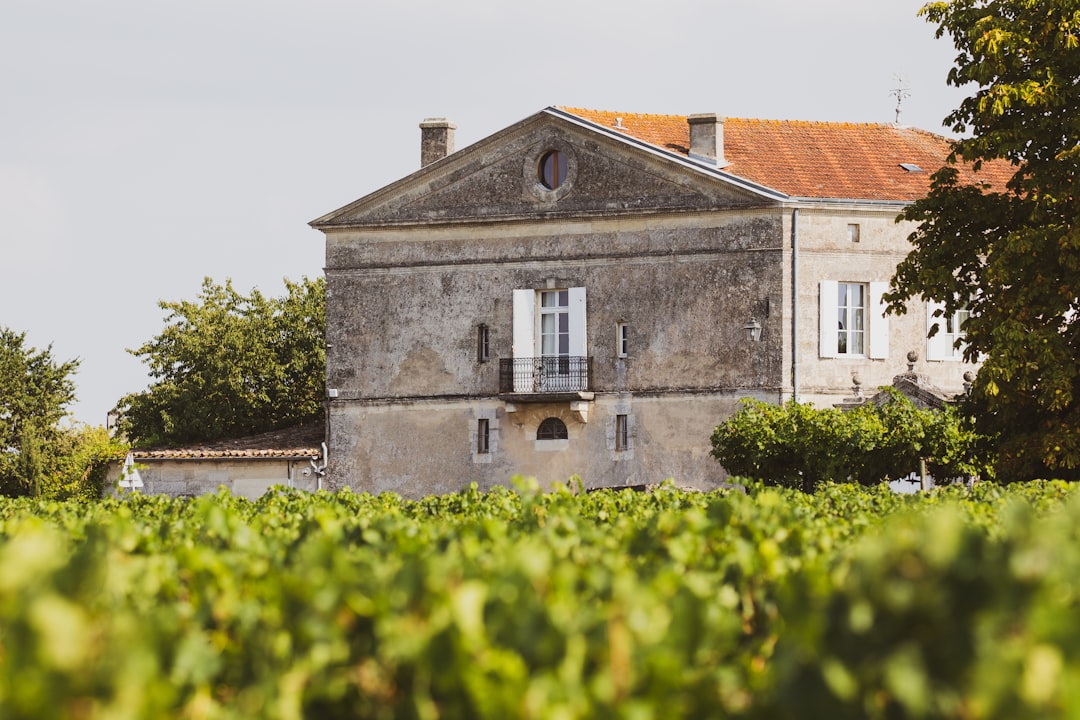 Château Ksara: vini e cantine romane nel Libano — Ksara