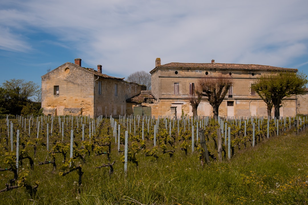 Château Ksara: Roman Wines and Cellars in Lebanon - Ksara | Secret World Trip Planner