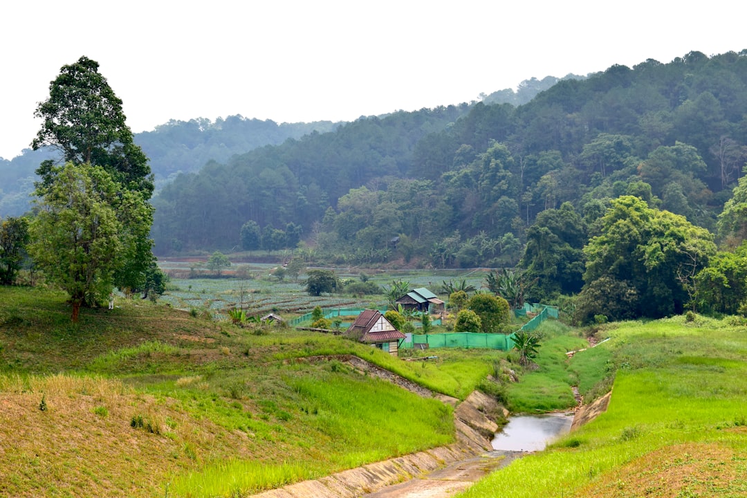 Doi Inthanon: Wanderwege durch Wälder und Pagoden - Distretto di Mae Chaem | Secret World Trip Planner