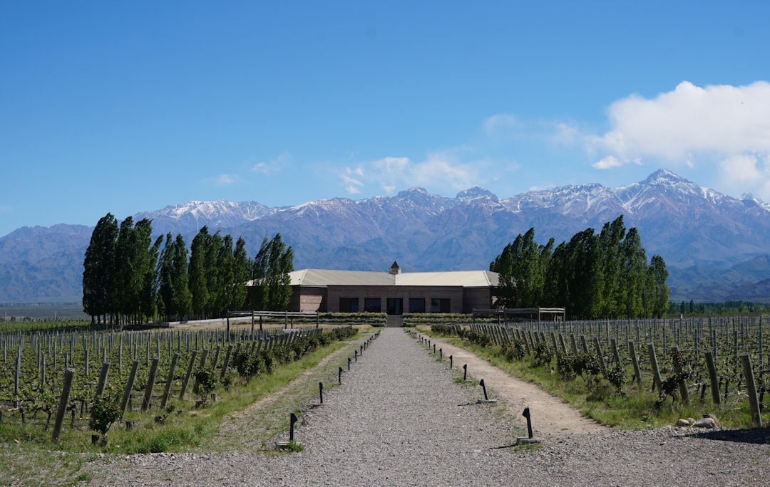 Mendoza Weinlager: Malbec am Fuße der Anden — Primitivo de la Reta 992