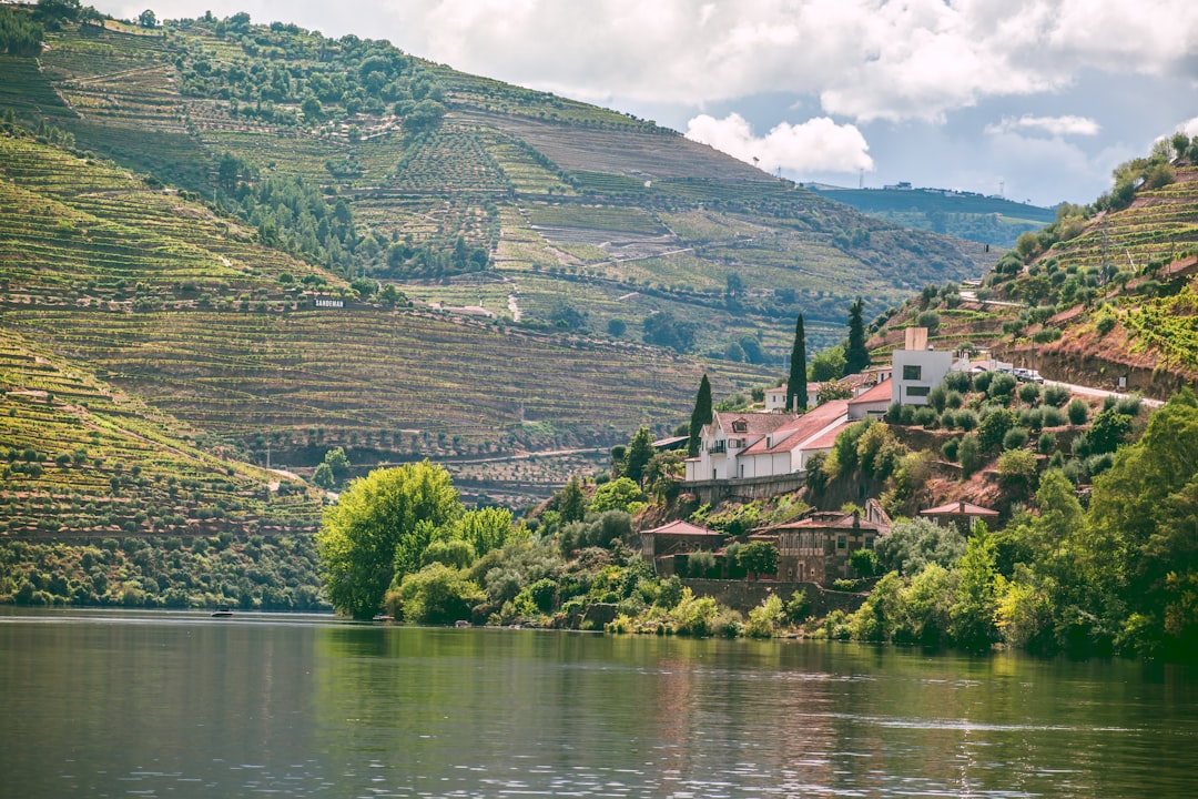 Douro Wines: Discover Porto Valley in Peso da Régua