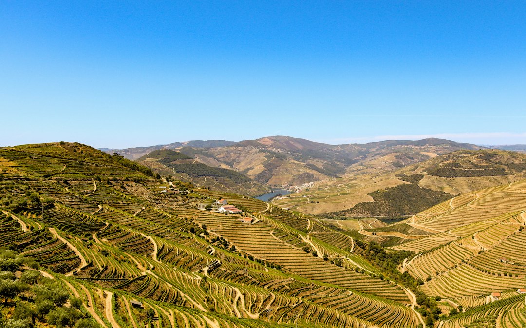 Douro-Weine: Das Portweintal in Peso da Régua | Secret World Trip Planner