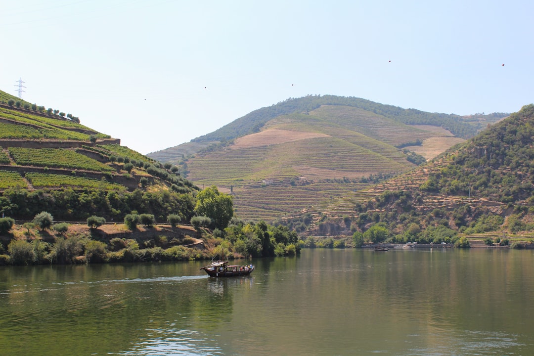 Douro-Weine: Das Portweintal in Peso da Régua | Secret World Trip Planner