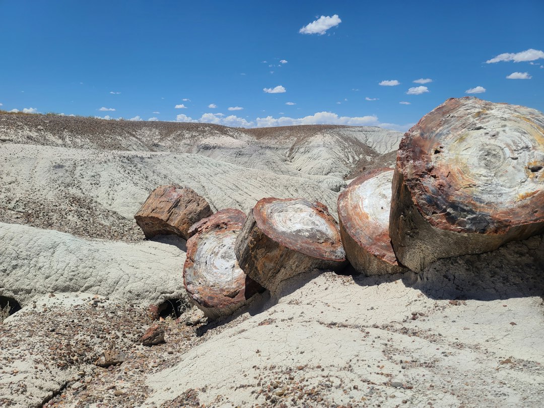 Sigri's Petrified Forest: Stunning Aegean Views - Sigri | Secret World Trip Planner