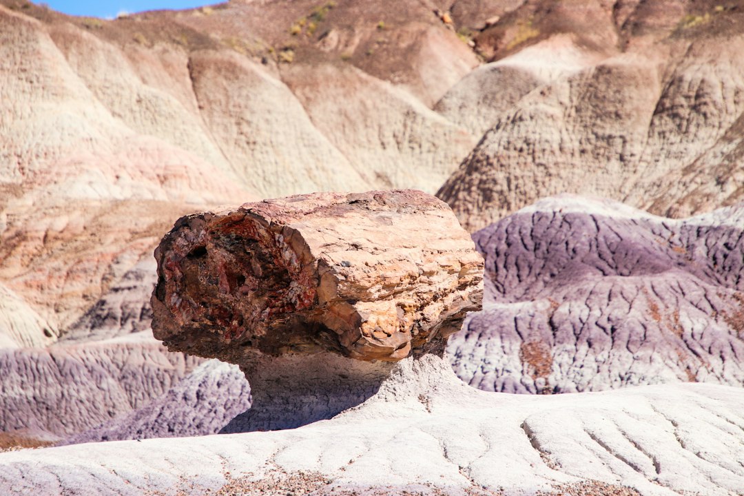 Sigri's Petrified Forest: Stunning Aegean Views - Sigri | Secret World Trip Planner