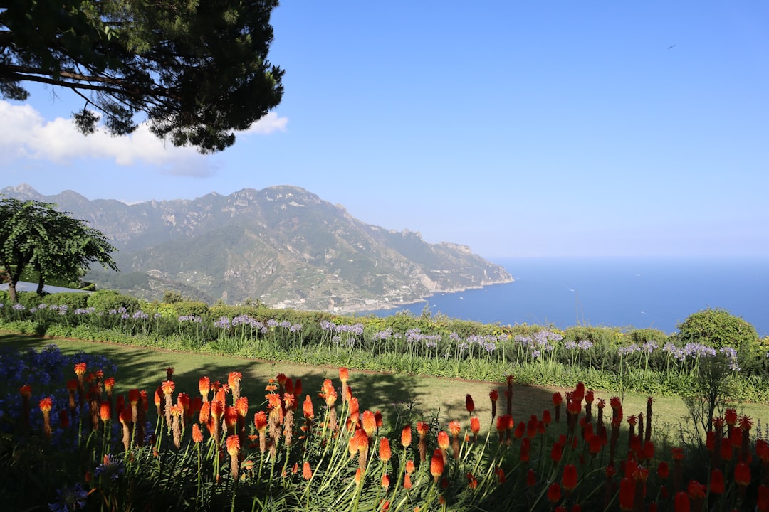 Der Tarotgarten: Monumentale Skulpturen in Capalbio - Garavicchio | Secret World Trip Planner