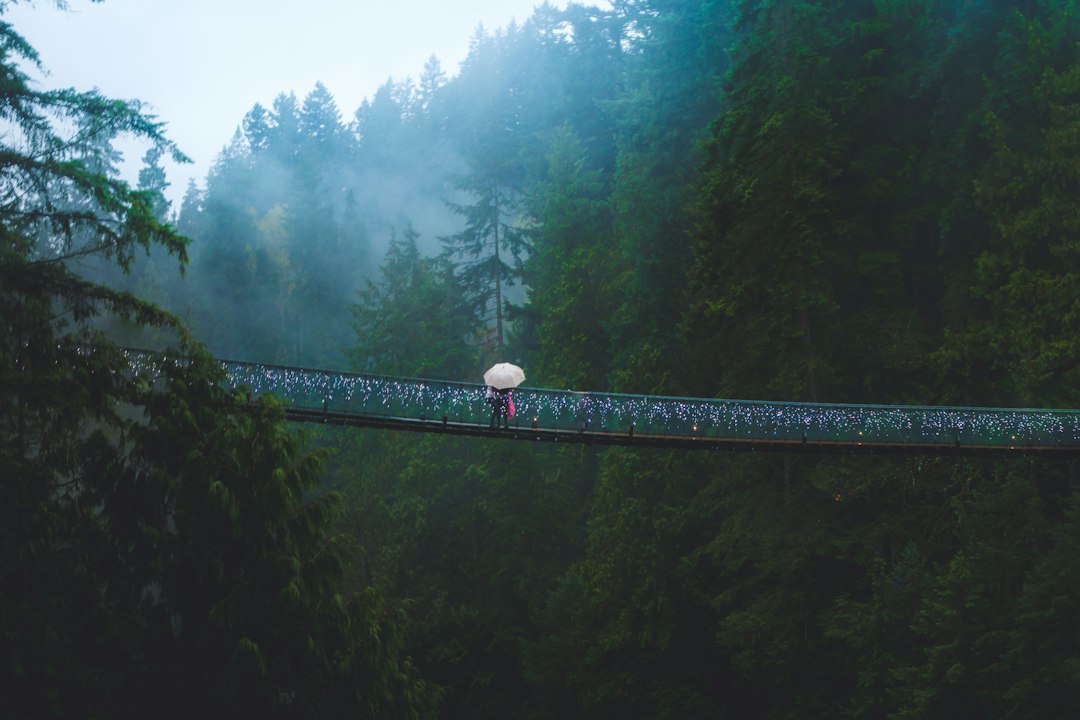 Capilano-Brücke: 70 Meter über dem Fluss - North Vancouver | Secret World Trip Planner