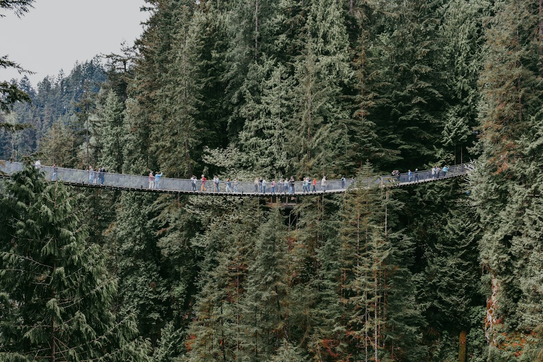 Capilano-Brücke: 70 Meter über dem Fluss - North Vancouver | Secret World Trip Planner