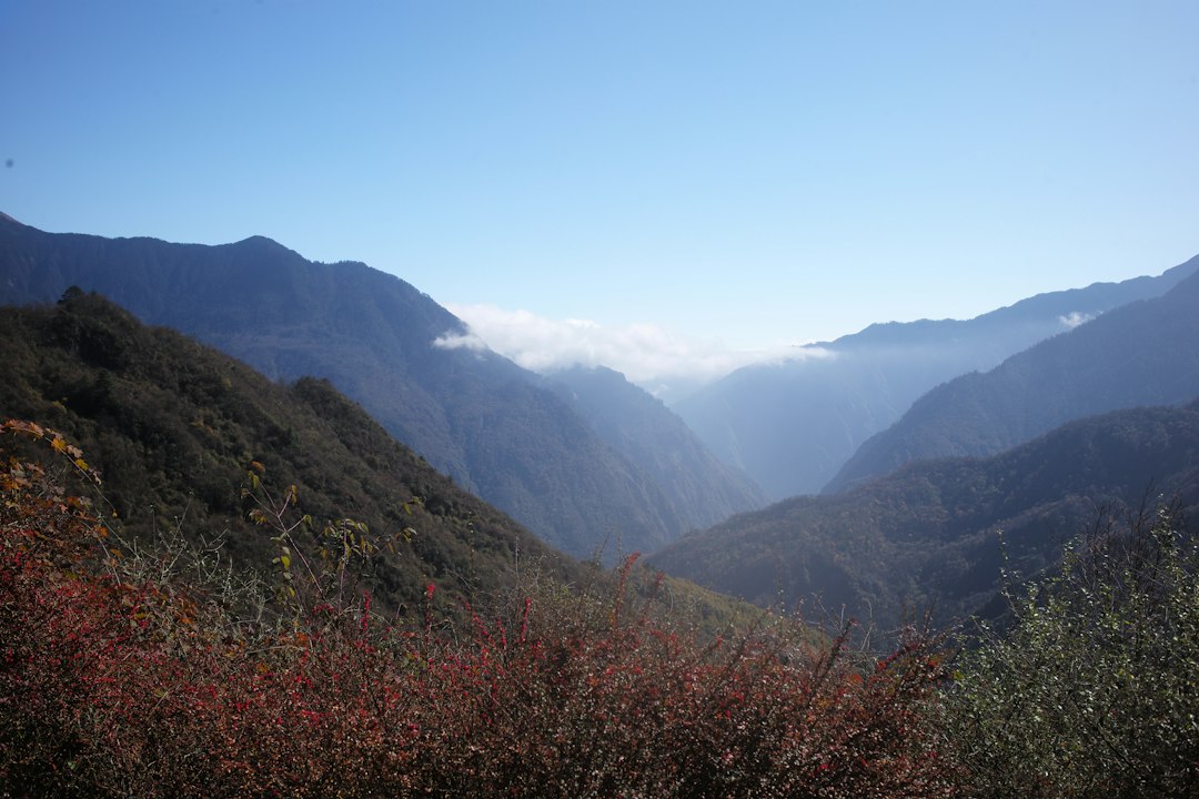 Lushan: Die Wasserfälle, die Tang-Dichter inspirierten - Jiu Jiang Shi | Secret World Trip Planner