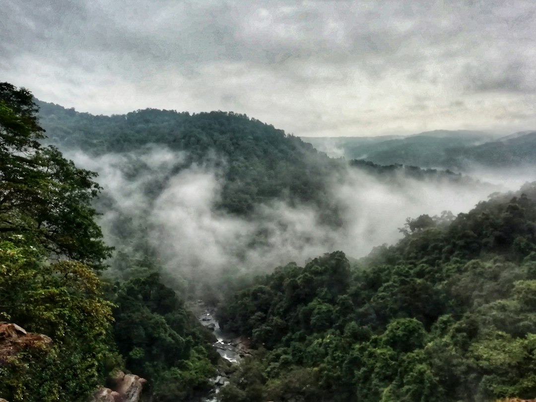 Udawatta Kele: la foresta reale sopra Kandy - Sangamitta Mawatha | Secret World Trip Planner