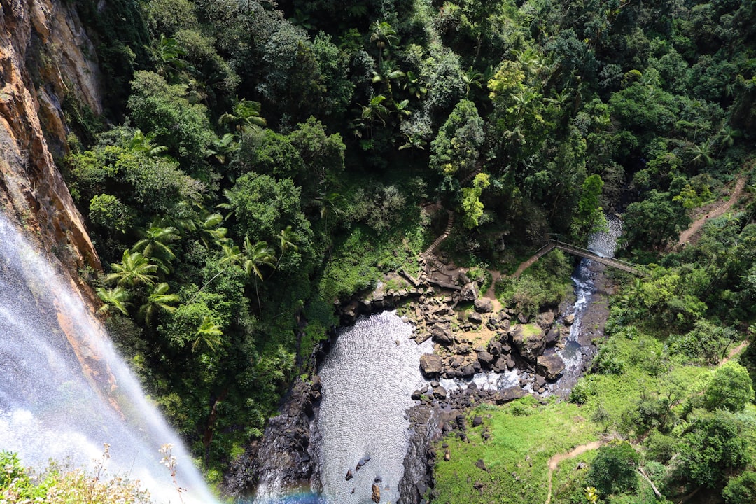 Udawatta Kele: The Royal Forest Above Kandy — Sangamitta Mawatha