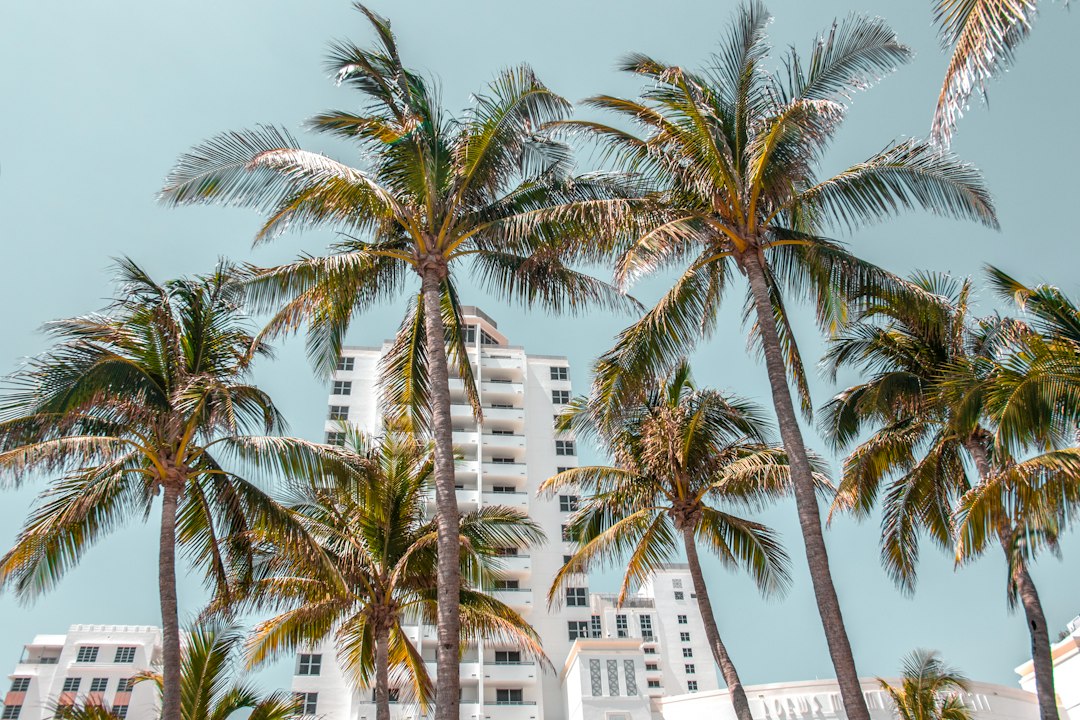 Cosa vedere a Miami nel 2026: guida ai luoghi imperdibili - Miami | Secret World Trip Planner