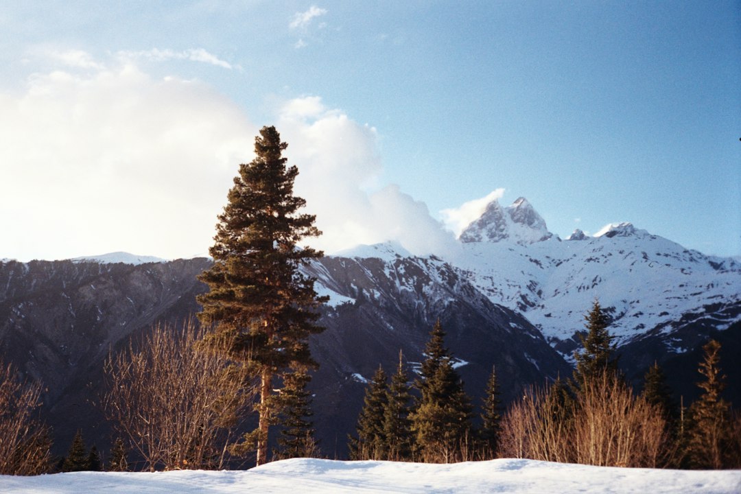 Svaneti Towers: Medieval Sentinels of the Caucasus - MPXX+J34 | Secret World Trip Planner