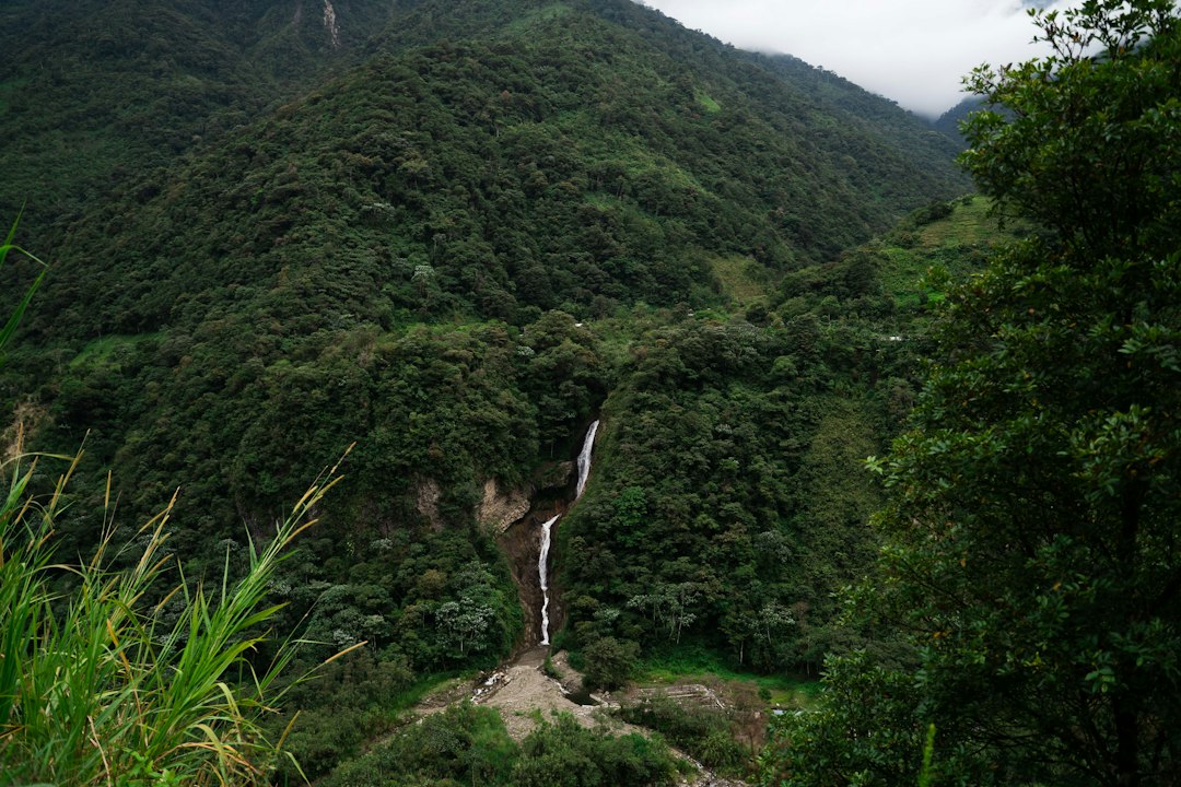 Cerro El Quinde: ein Naturjuwel in Ecuador - Salatí | Secret World Trip Planner