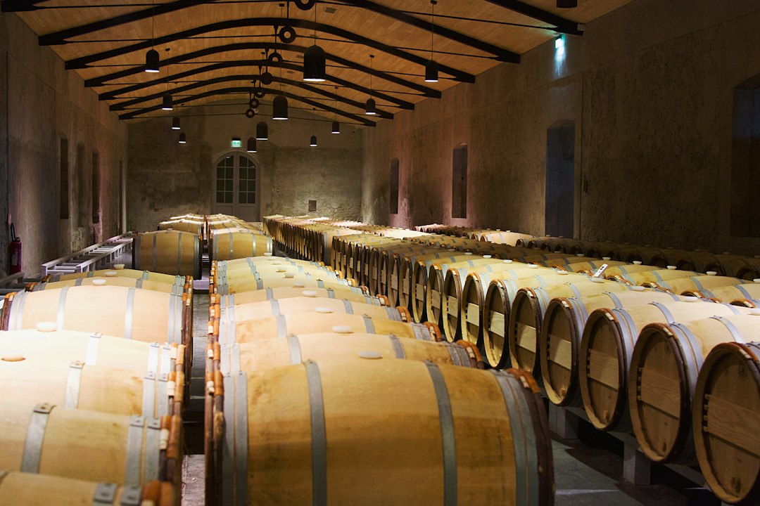 Château Margaux: Wein und Architektur im Médoc — 33460 Margaux-Cantenac