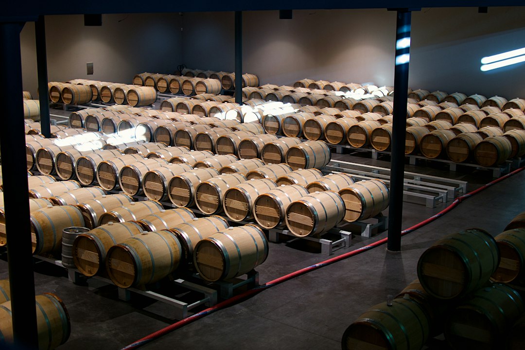 Château Margaux: Wein und Architektur im Médoc - 33460 Margaux-Cantenac | Secret World Trip Planner
